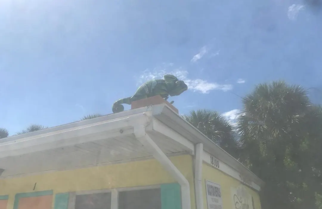 Michaels Surfside Cabanas-1