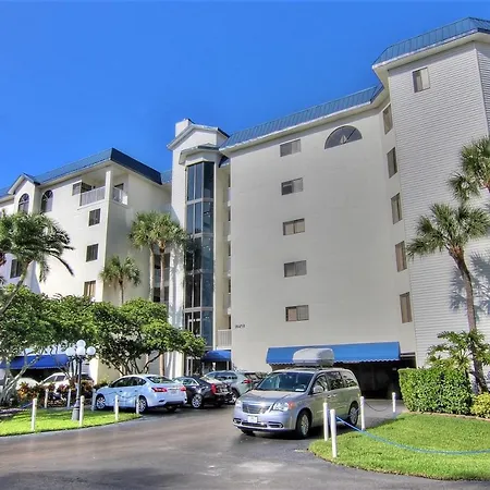 Beach Palms 108-2
