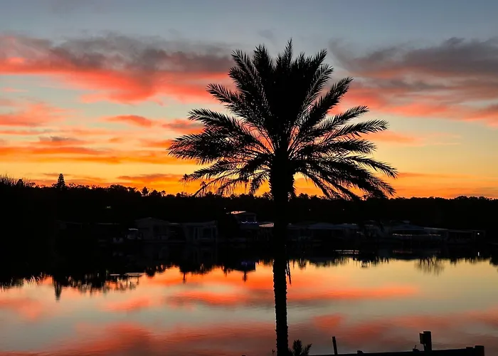 Pelican Beach Studio 7 Clearwater Beach